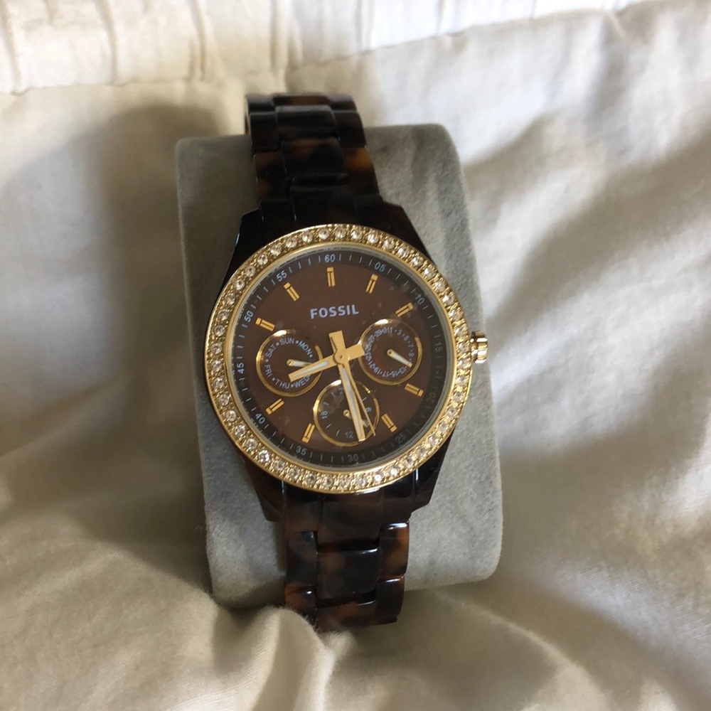 Tortoise Fossil Watch